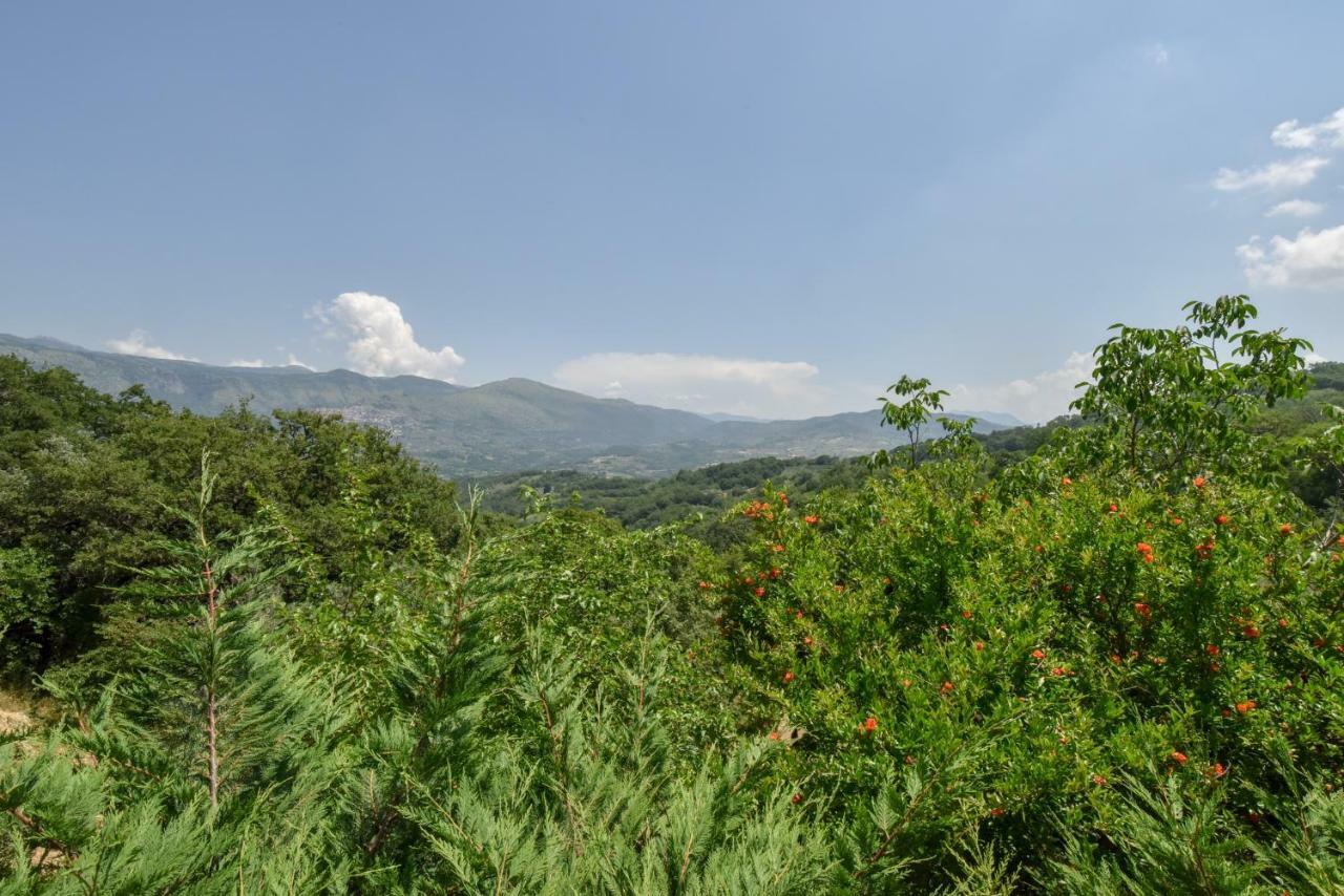 Agriturismo L'Antico Casolare Castelcivita 외부 사진